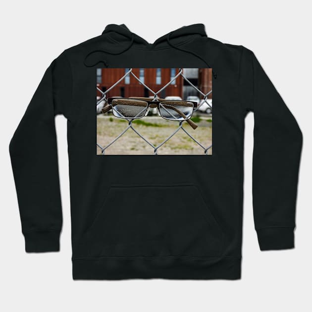 The Glass is Always Cleaner on the Other Side of the Fence Hoodie by PictureNZ